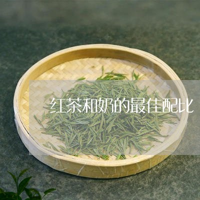 红茶和奶的最佳配比/2023031906258