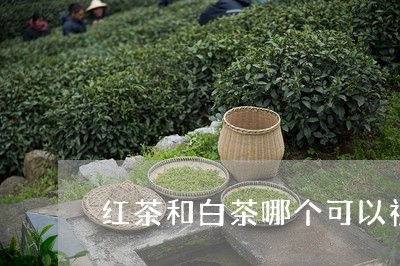 红茶和白茶哪个可以祛斑/2023032671925