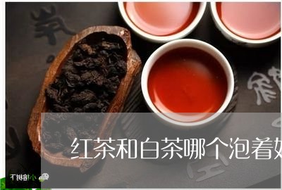 红茶和白茶哪个泡着好喝/2023032671625