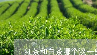 红茶和白茶哪个淡一些好/2023032640592