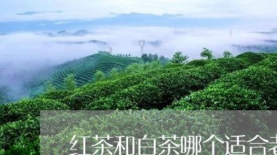 红茶和白茶哪个适合老人/2023032757959