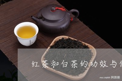 红茶和白茶的功效与作用/2023032731947