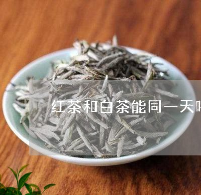 红茶和白茶能同一天喝吗/2023032749304