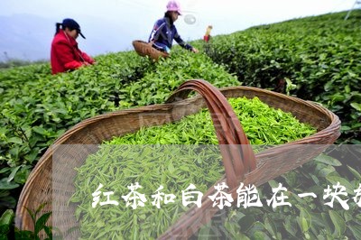 红茶和白茶能在一块放吗/2023032735158