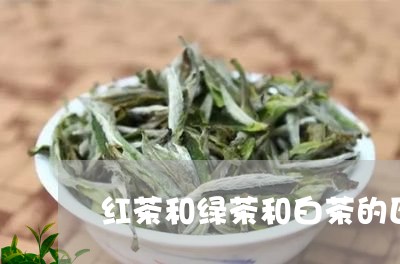 红茶和绿茶和白茶的区别/2023032792925