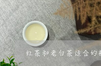 红茶和老白茶适合的杯子/2023032745037