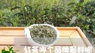 红茶哪个品牌最好喝/2023041570726