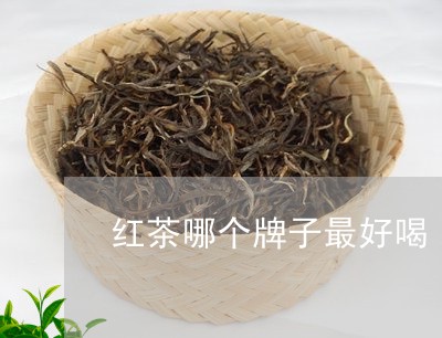 红茶哪个牌子最好喝/2023041596258