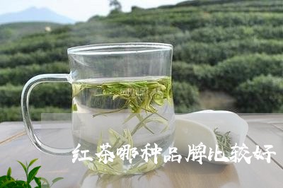 红茶哪种品牌比较好/2023041478584