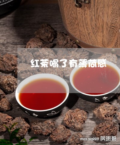 红茶喝了有薄荷感/2023032251704