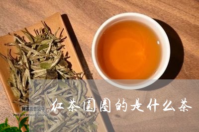 红茶圆圈的是什么茶/2023041644938