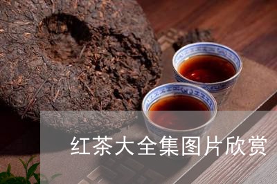 红茶大全集图片欣赏/2023031841804