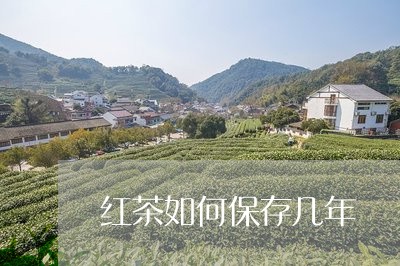 红茶如何保存几年/2023032464028