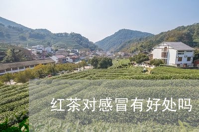 红茶对感冒有好处吗/2023041471748