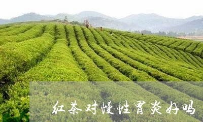 红茶对慢性胃炎好吗/2023031897379