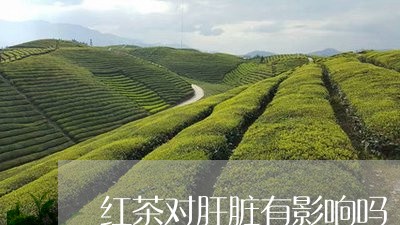 红茶对肝脏有影响吗/2023041563816