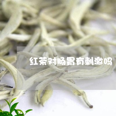 红茶对肠胃有刺激吗/2023041523836