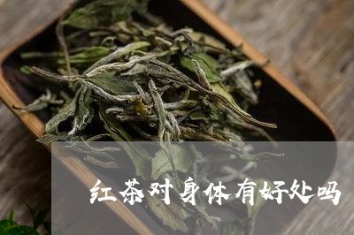 红茶对身体有好处吗/2023031837694