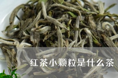 红茶小颗粒是什么茶/2023041649605