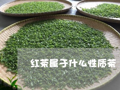 红茶属于什么性质茶/2023041527030