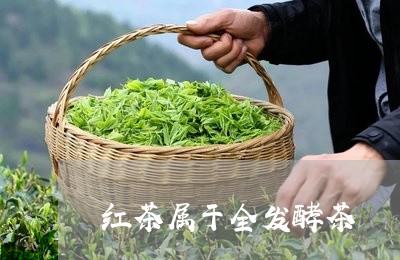 红茶属于全发酵茶/2023032320403