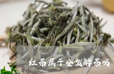 红茶属于全发酵茶吗/2023031817270