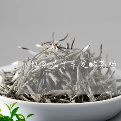 红茶属于半发酵茶吗/2023031968593