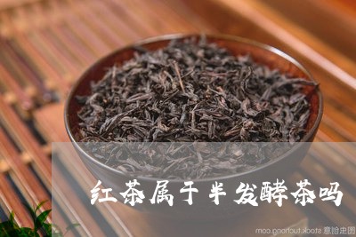 红茶属于半发酵茶吗/2023041565838