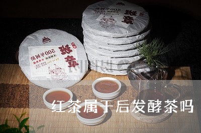 红茶属于后发酵茶吗/2023041447249