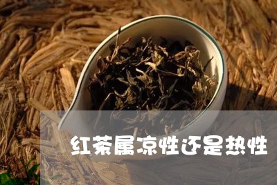 红茶属凉性还是热性/2023041508460