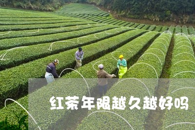 红茶年限越久越好吗/2023041679724