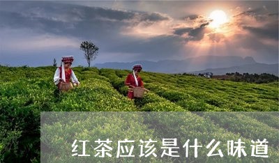 红茶应该是什么味道/2023041528369