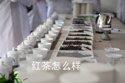 红茶怎么样/2023031939585