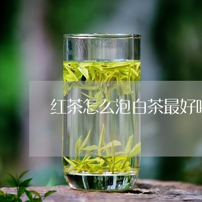 红茶怎么泡白茶最好喝的/2023032779372