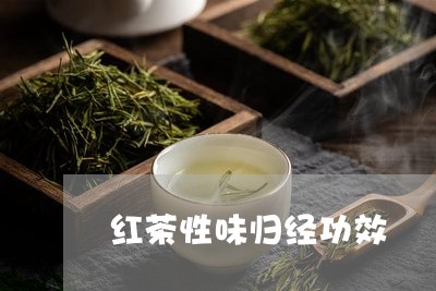 红茶性味归经功效/2023032469305