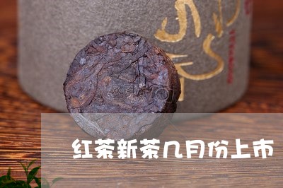 红茶新茶几月份上市/2023041428279