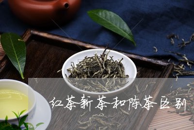 红茶新茶和陈茶区别/2023041624249