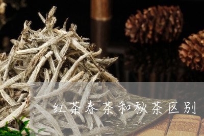 红茶春茶和秋茶区别/2023032074826