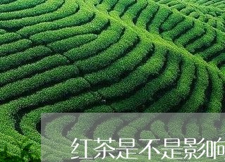 红茶是不是影响睡眠/2023031914036