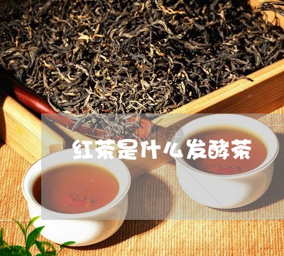 红茶是什么发酵茶/2023032393915