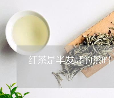 红茶是半发酵的茶吗/2023041462513