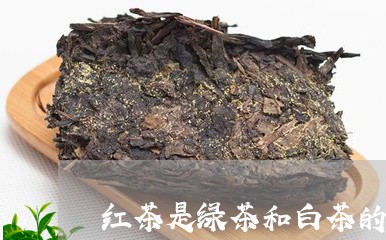 红茶是绿茶和白茶的混合/2023032755382