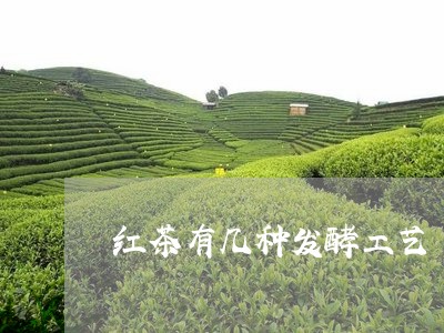 红茶有几种发酵工艺/2023032041817