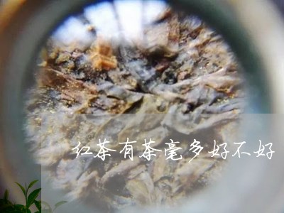 红茶有茶毫多好不好/2023032092513