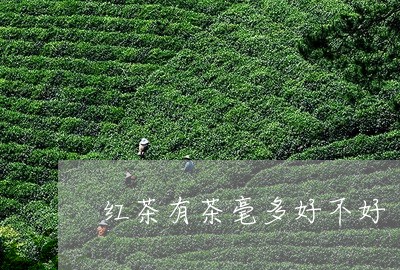 红茶有茶毫多好不好/2023041585058