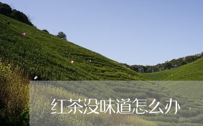 红茶没味道怎么办/2023032356259