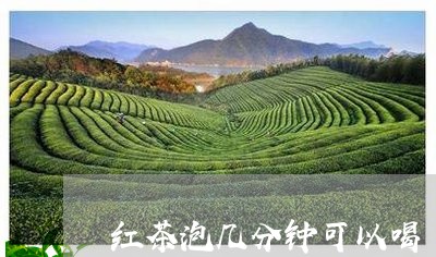 红茶泡几分钟可以喝/2023041585269