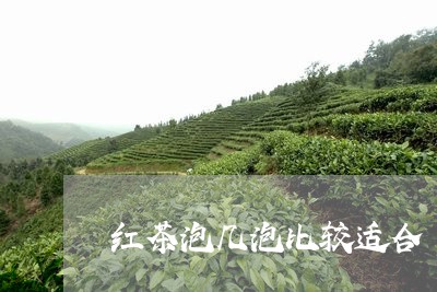 红茶泡几泡比较适合/2023031820591