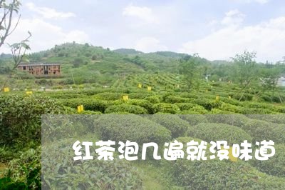 红茶泡几遍就没味道/2023031920415