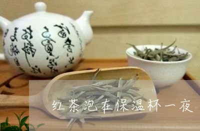 红茶泡在保温杯一夜/2023041512040